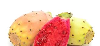 Indian Fig Opuntia Oil