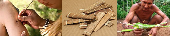 Via: International Association of Kambo Practitioners | iakp.org